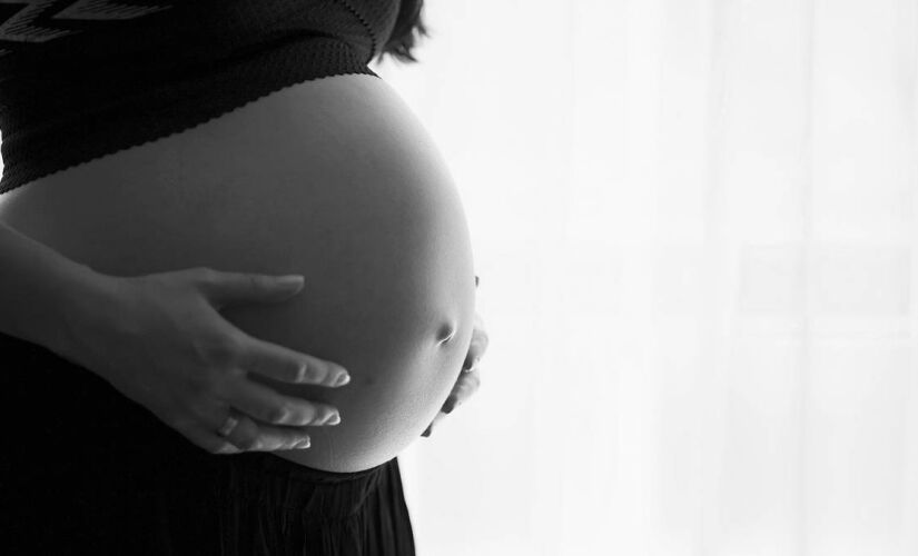 Amostras de placenta apresentaram 110 partículas de microplásticos em pesquisa