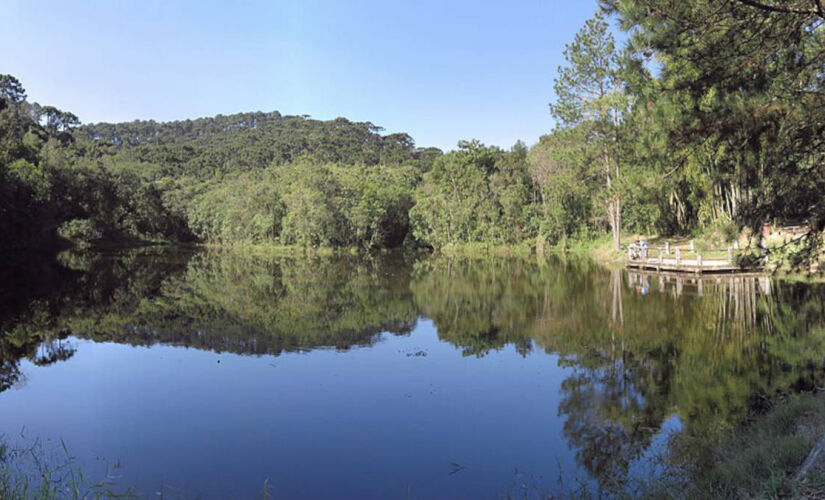 Natureza, trilhas e sossego no coração da Serra da Cantareira