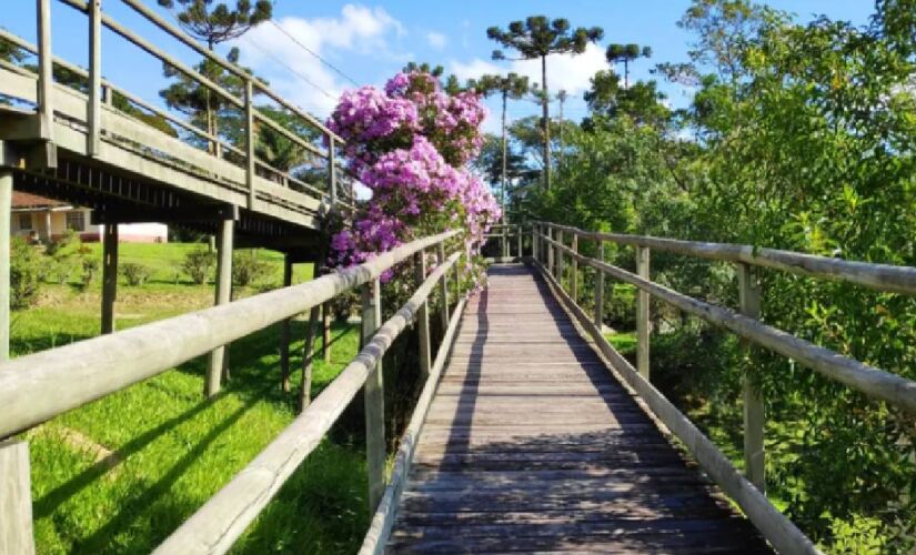 A Trilha das Bromélias é somente uma das diversas do parque