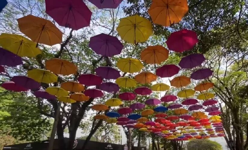 Destino mistura cultura holandesa, campos floridos e festas tradicionais que encantam turistas