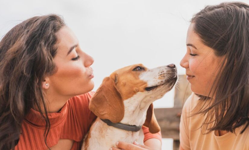 Entenda o porquê você deve falar com uma voz mais aguda com o seu cachorro