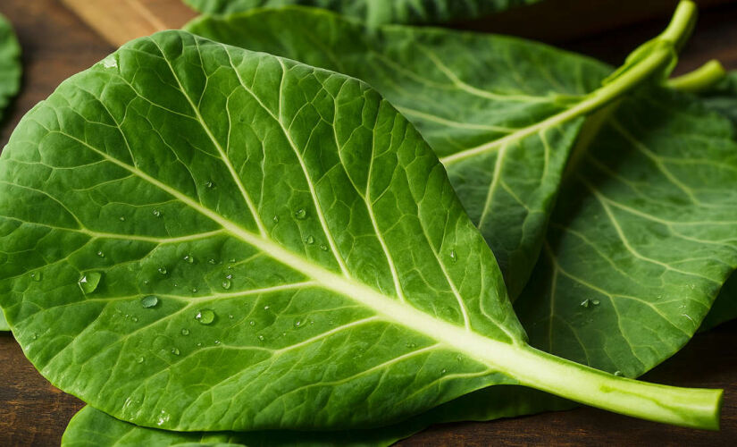 A couve é uma verdadeira farmácia natural para proteger seu bem-estar diário.