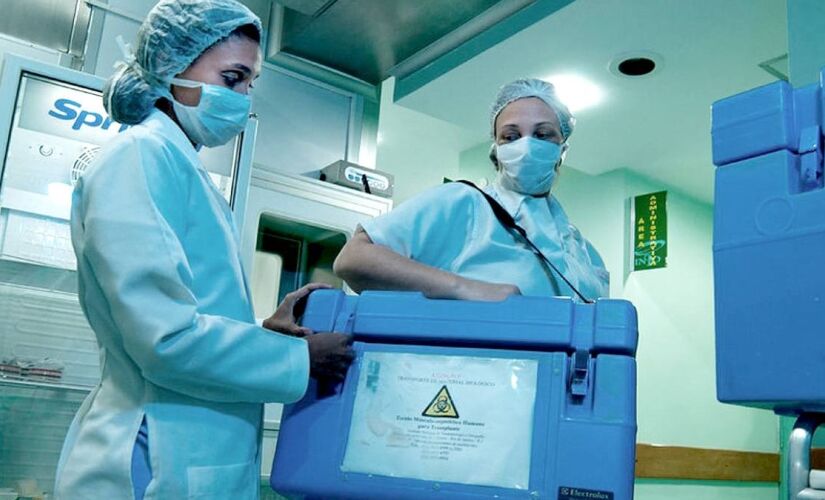 Sinais de rejeição podem ser sutis e variar dependendo do órgão transplantado