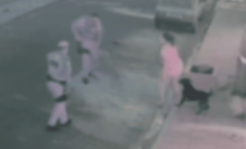 Três cachorros avançaram no policial que atira e mata um dos animais