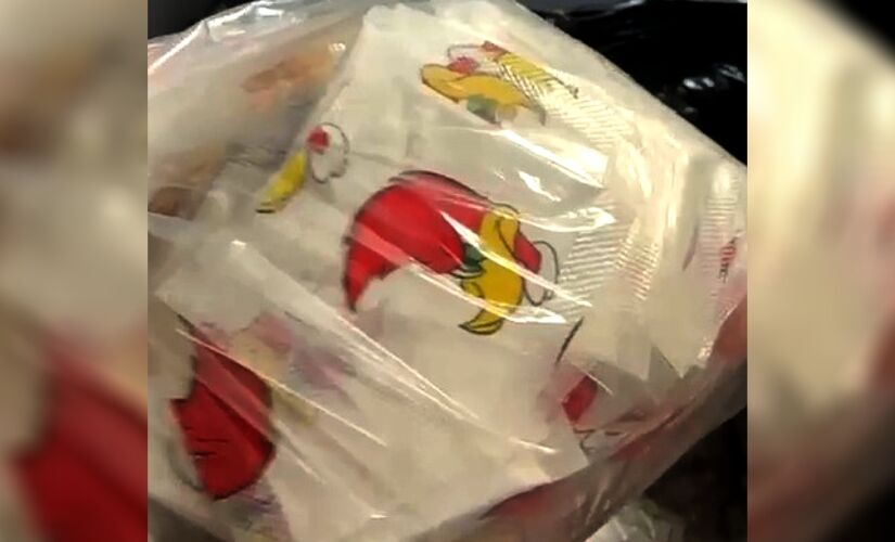 Carga de cocaína tinha como destino Aracaju e Rio de Janeiro, e apresentava a imagem do personagem Pica-Pau