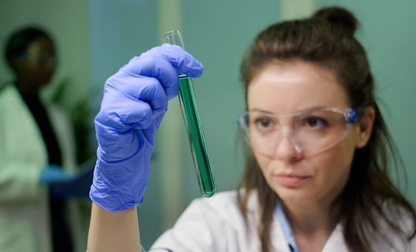 Um estudo mostrou que interromper esse processo reduziu significativamente o crescimento de tumores em testes com animais e células humanas