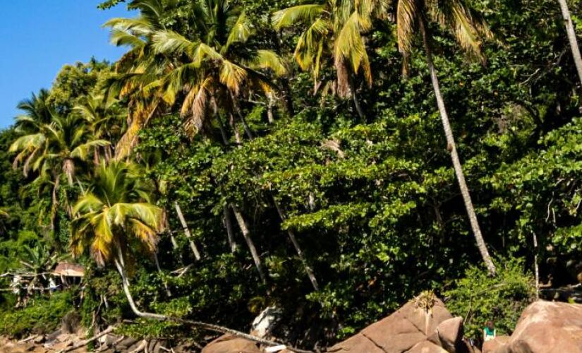 Paraíso escondido no litoral oferece praia, cultura, tradição e até trilhas