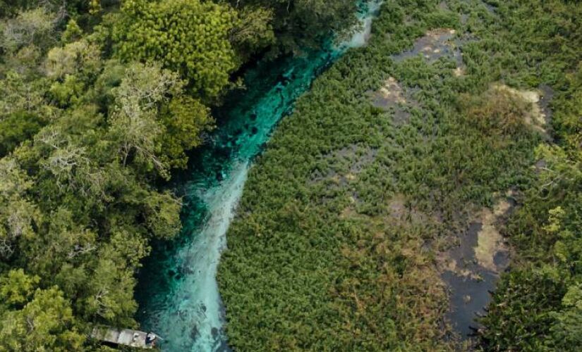 Flutuação no rio é uma das atividades mais leves e relaxantes de Bonito