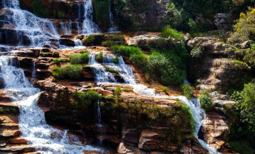 Parque natural encanta turistas com sua flora e fauna preservadas