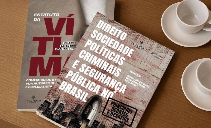 Publicação organizada pela promotora de Justiça ainda defende a interconexão de diferentes setores de políticas públicas