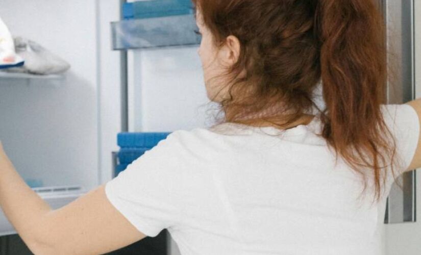 Método facilita a vida de quem não possui geladeira Frost Free