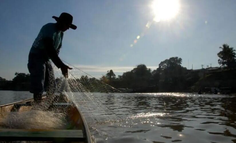 Conhecida como "A cidade que nasceu para a pesca!", Paulicéia se destaca por oferecer a melhor pescaria de toda a região. 