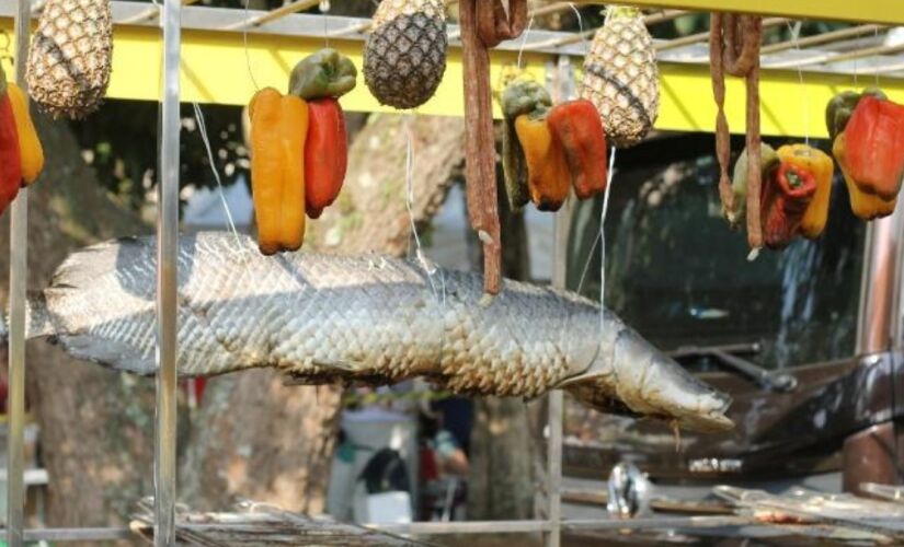 Festa Tem Peixe na Vila promoverá o universo do pescado em São Paulo