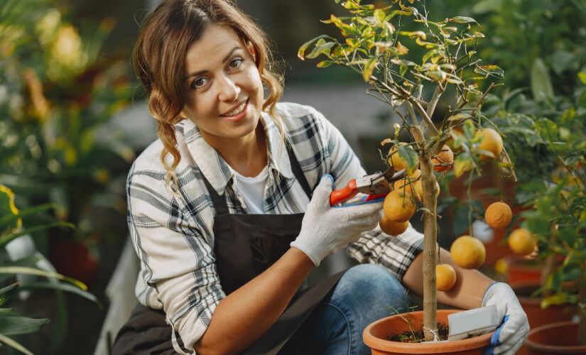 Você pode cultivar essas plantas no seu quintal 