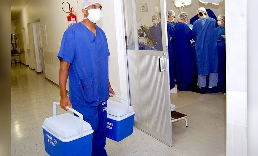 Morte encefálica é a perda completa e irreversível das funções do cérebro e do tronco cerebral
