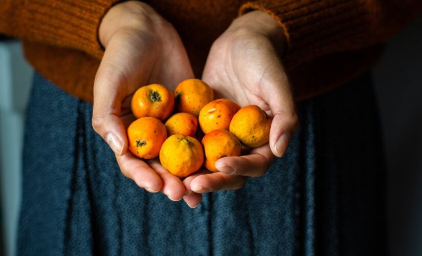 Rica em antioxidantes, a nêspera protege o fígado, combate inflamações e ainda auxilia no controle do diabetes