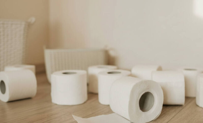 Descubra o Washlet, o vaso sanitário inteligente que usa jatos de água para uma limpeza superior e ajuda a preservar o meio ambiente.