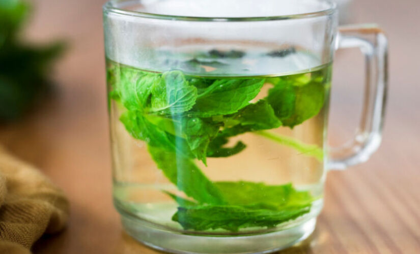 Planta tropical popular tem ação calmante e digestiva; veja como fazer o chá e as precauções.