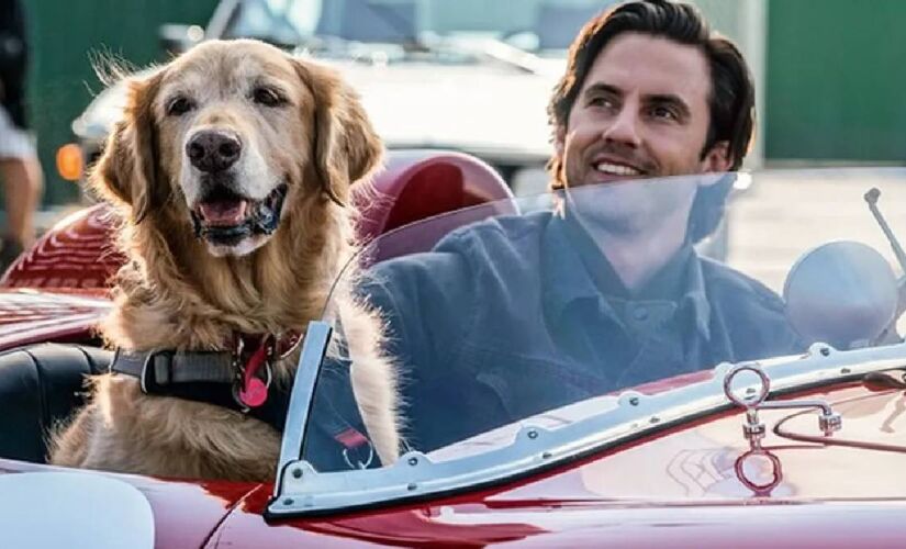 Adaptação cinematográfica foi lançada em 2019 e, atualmente, está disponível no serviço de streaming da Netflix