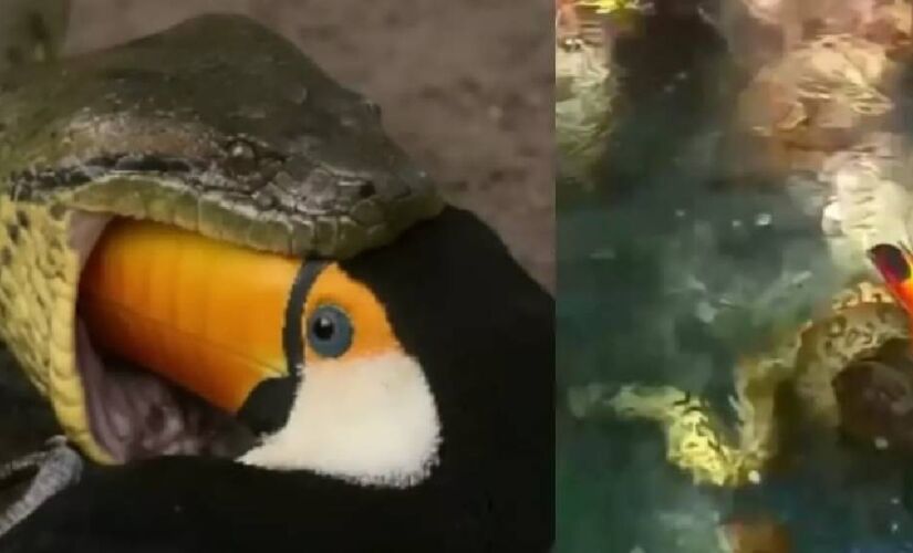 Caso ocorreu em um balneário de Bonito, no Mato Grosso do Sul