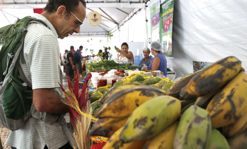 Entenda como um fungo silencioso está colocando em risco o futuro da fruta mais consumida no Brasil e no planeta.
