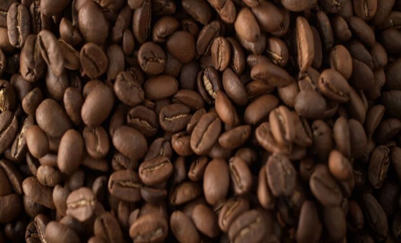 O café do jacu virou uma iguaria