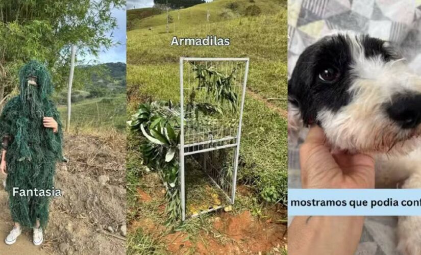  A cadela precisou de semanas para se curar dos traumas vividos