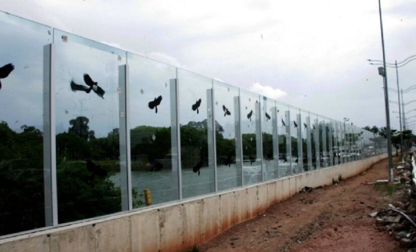 Adesivos com pássaros foram implantados (sem sucesso) para evitar o choque das aves com o vidro 