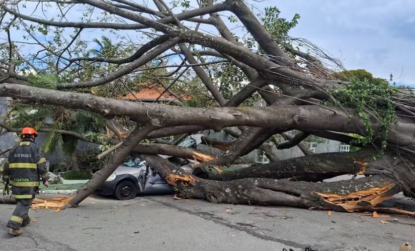 Queda aconteceu por volta das 12h45, na avenida Antônio Barbosa da Silva Sandoval, no bairro do Socorro