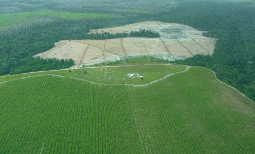 Cultivo agrícola dobrou de área desde 1985 e hoje ocupa um terço da produção no bioma