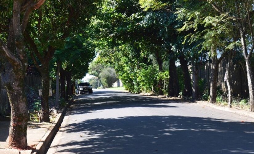Birigui é o município mais arborizado do Brasil, segundo o IBGE
