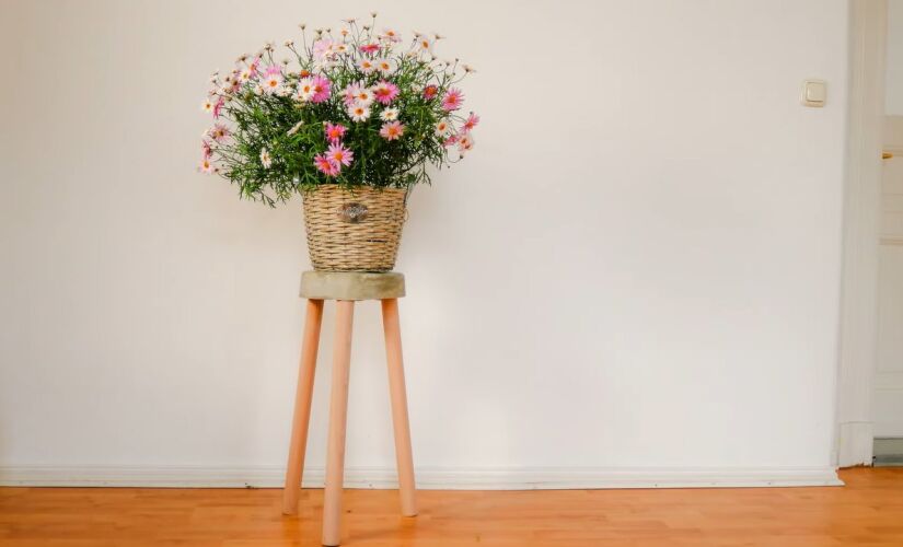 Para tirar proveito da primavera, considere exibir as suas plantas em um lindo banquinho caseiro