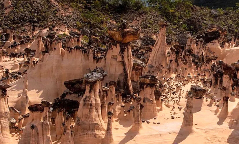 Descoberta foi feita na Serra Geral de Goiás, região próxima à divisa com Tocantins e Bahia