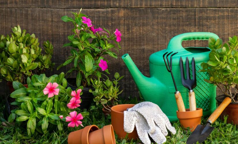 Aprenda quais plantas você deve podar antes do verão 