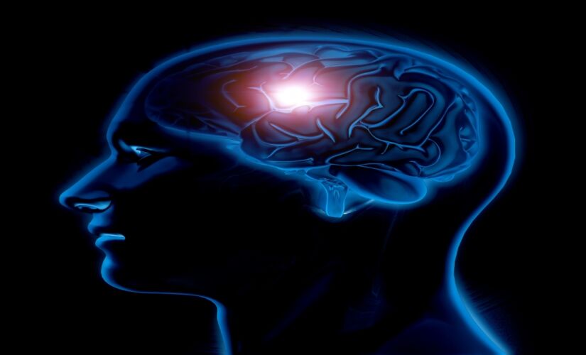 Manter uma rotina saudável é melhor para a saúde do cérebro do que suplementos, apontam estudiosos