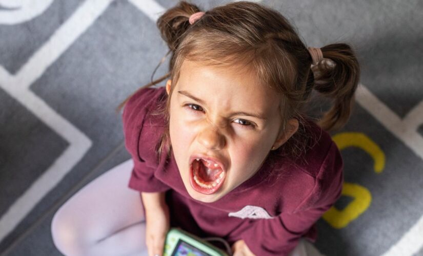 Estudos recentes apontam que não é possível comprovar comportamentos únicos apenas por alguém ser ou não filho único