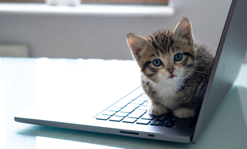 O teclado funciona como um tapete térmico aconchegante, perfeito para um cochilo