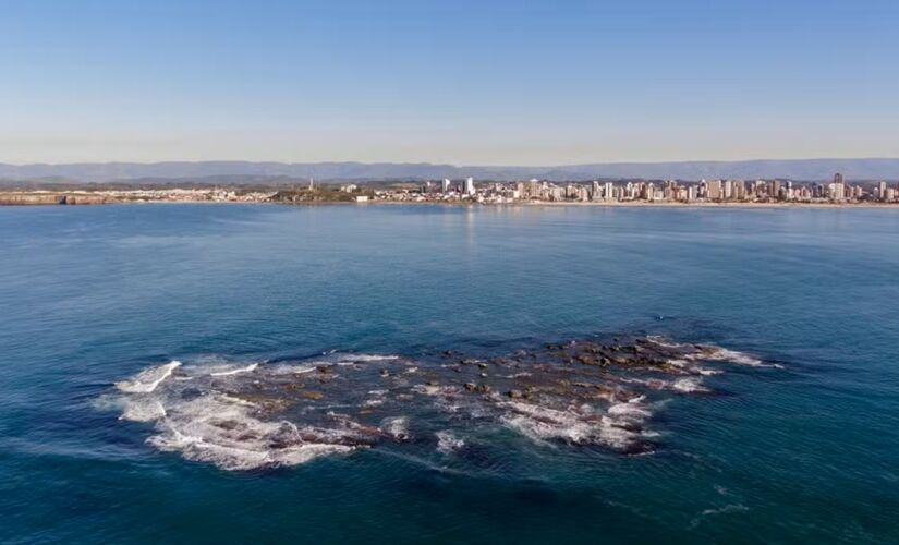Ilha dos Lobos fica no litoral gaúcho e abriga diversidade de fauna impressionante