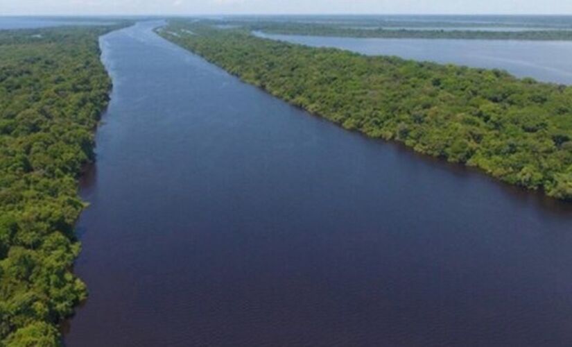 Do Peru ao Pará, o Amazonas sustenta vidas, regula o clima e revela fenômenos que desafiam a ciência.