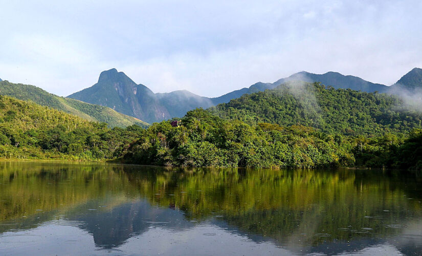 Ao permitir que empreendimentos agrícolas, de infraestrutura ou de mineração avancem sem avaliação ambiental adequada, o texto aprovado cria, paradoxalmente, ainda mais insegurança jurídica no campo