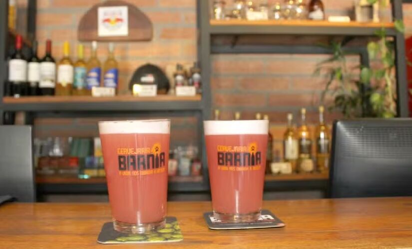 Cerveja vencedora no sudeste foi inscrita na categoria Field Beer