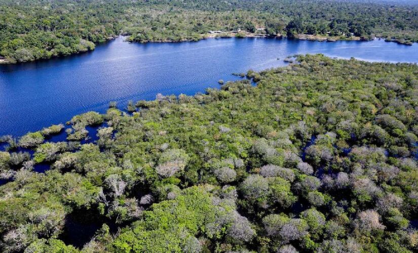Rio Amazonas é um dos mais importantes do mundo