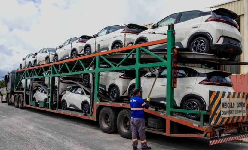 Primeira remessa do Dolphin Mini parte em cegonhas rumo a Brasília