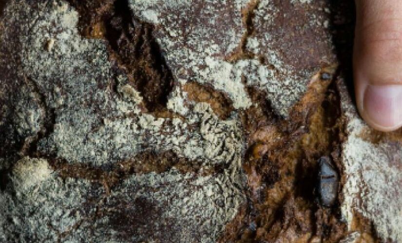 Bella Paulista foi eleita a melhor padaria paulistana em vários levantamentos e, mais recentemente, recebeu o título de "Padaria que é a cara de São Paulo" pelo Prêmio Paladar 2025