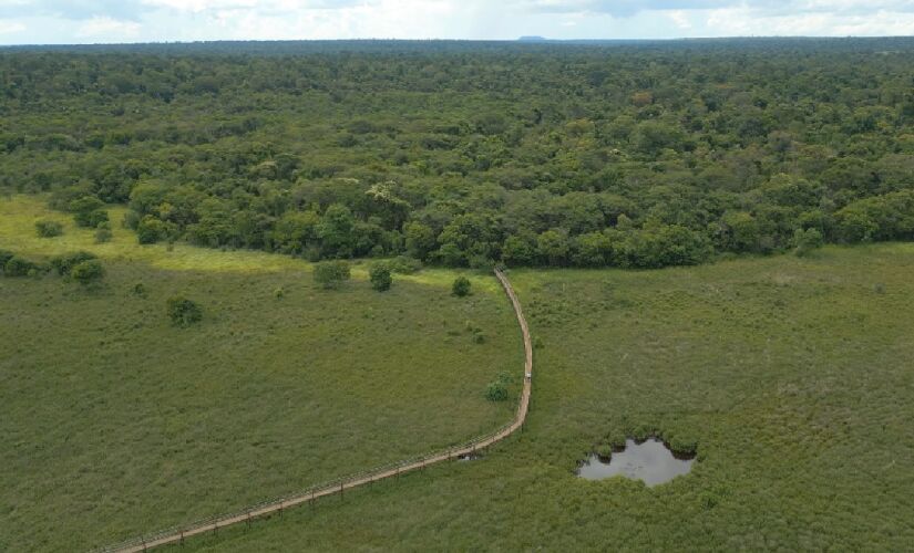 Local é uma das quatro maiores áreas - com mais de 10.000 ha - desse tipo de vegetação no Estado