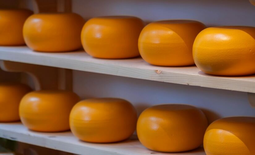 Ação reúne queijarias localizadas por todo o estado, organizadas em oito rotas temáticas