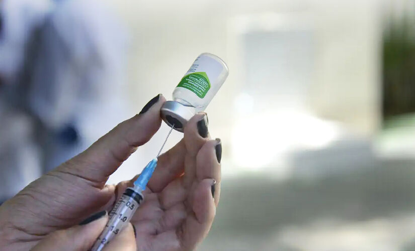 Vacina protege contra três cepas diferentes do vírus - H1N1 e H3N2 (influenza A) e uma cepa da influenza B