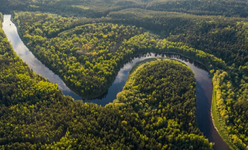 Brasil defende que a preservação das florestas não seja responsabilidade local 