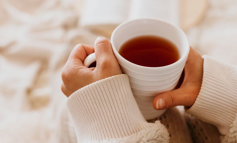 Rico em propriedades anti-inflamatórias, o barbatimão se destaca na medicina popular