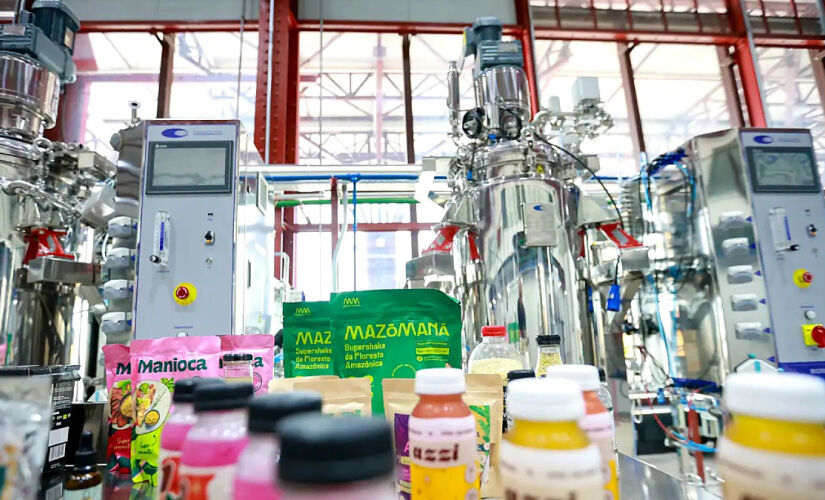 Plano estadual de bioeconomia beneficia mais de 400 famílias no Pará